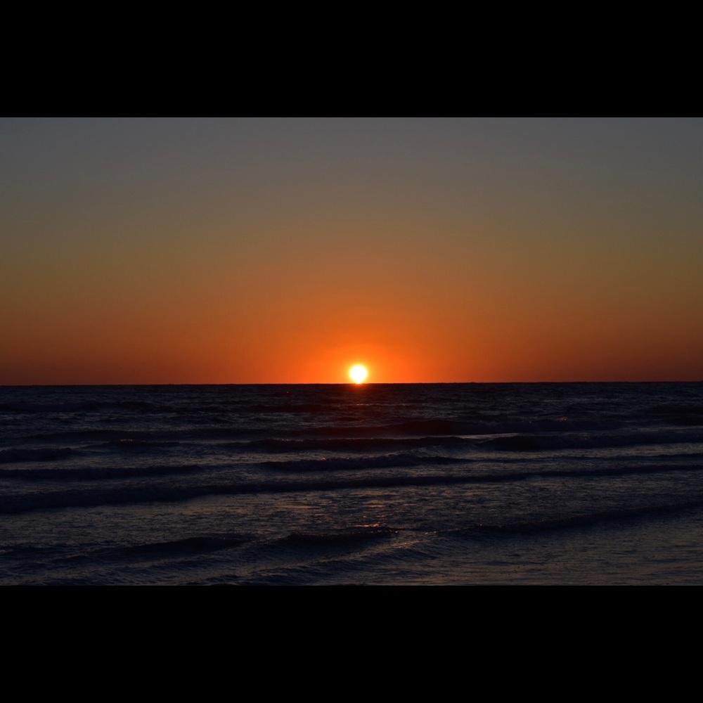 Meet your Posher, Gigi